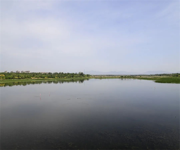 地表水总磷检测 地表水总氮检测单位