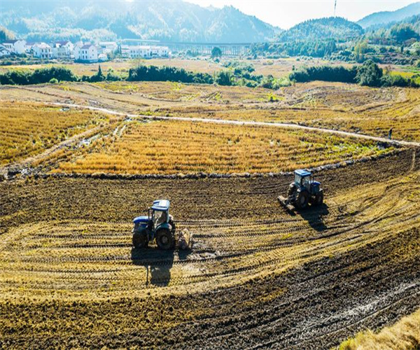 农田土壤苯系物检测 农田土壤氟化物检测