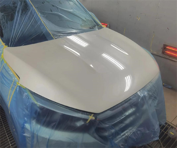 汽车油漆遮盖力检测 汽车油漆耐水性测试