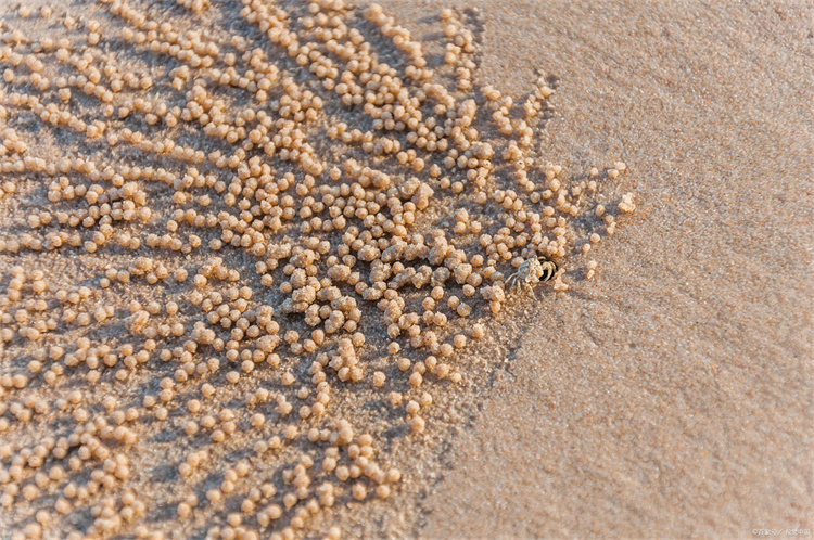 茂名石英砂滤料检测哪里能化验