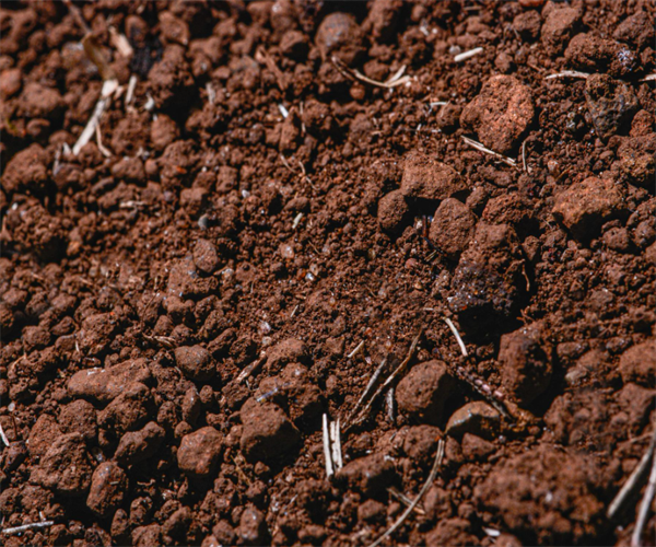 种植土微生物活性检测 种植土密度检测