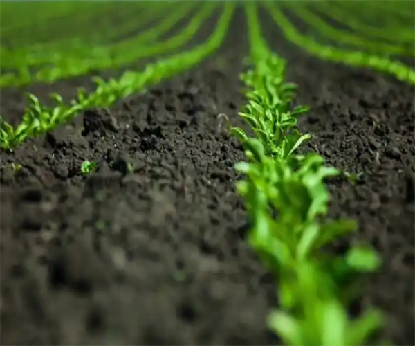 农业土壤有机物检测 农业土壤总石油类烃检测