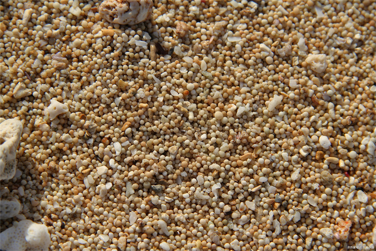 江门石英砂河沙密度检测中心