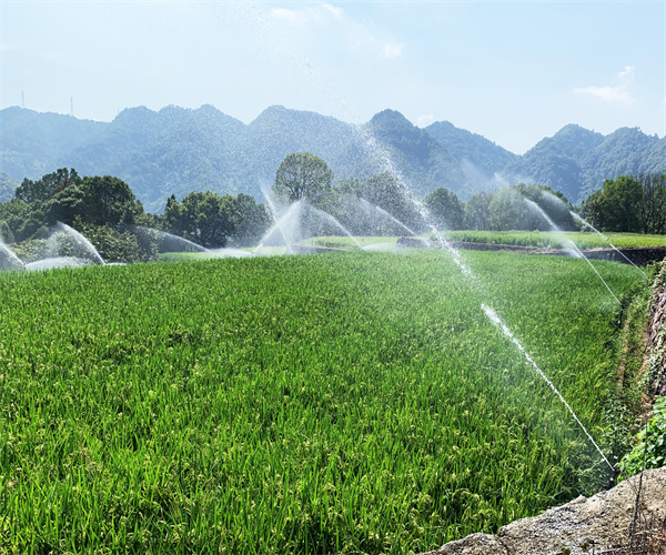 灌溉水源蛔虫卵数检测 粪大肠菌群数检测