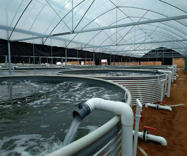 循环用水钙离子检测 循环用水铜离子检测