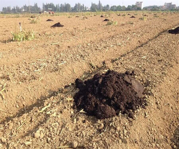 农田土壤含水量测试 农田土壤电导率检测中心