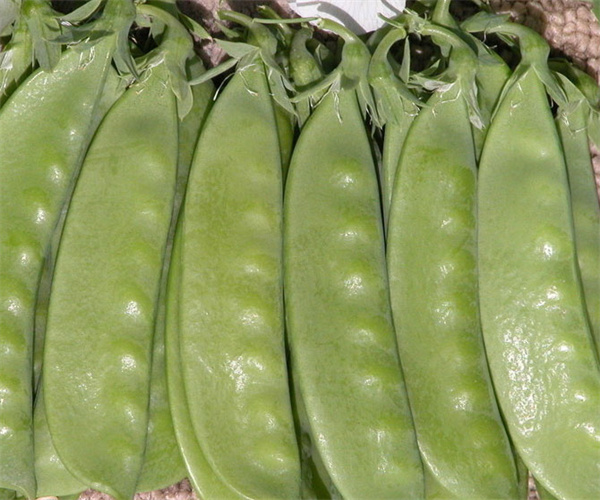 豆类蔬菜检测多少钱 豆类蔬菜重金属污染检测