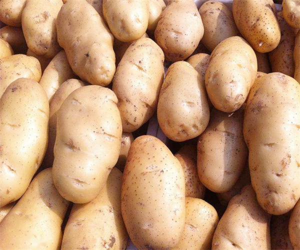 薯芋类蔬菜检测多少钱 薯芋类重金属污染检测