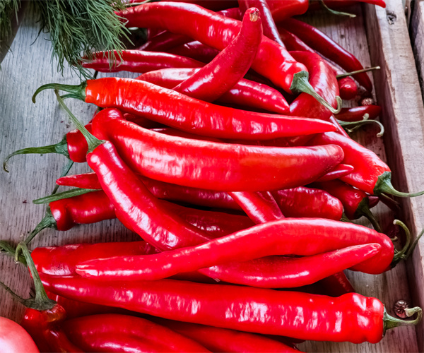 辣椒检测多少钱 辣椒重金属含量检测