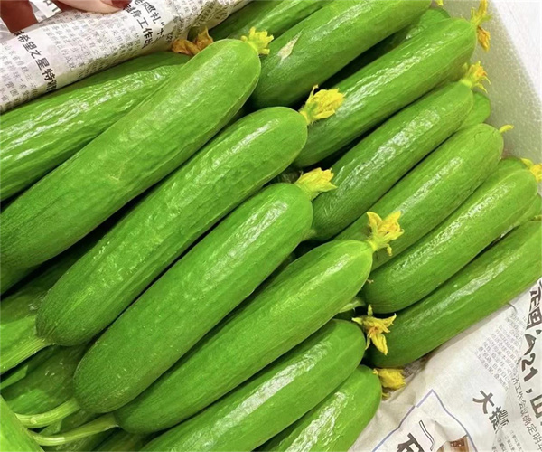 瓜类蔬菜检测多少钱 瓜类蔬菜重金属检测机构