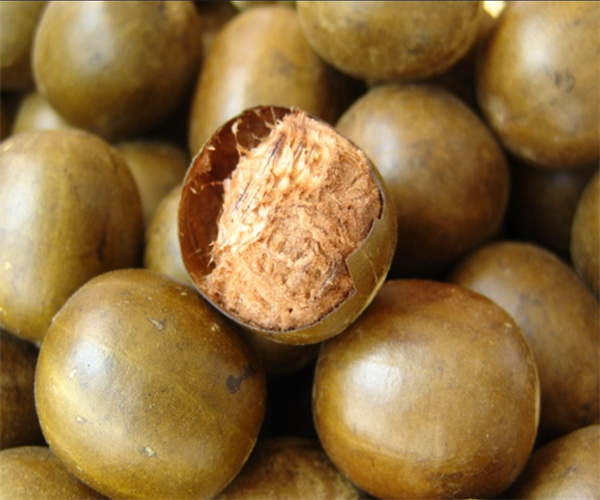 罗汉果总糖检测 罗汉果氨基酸含量检测单位