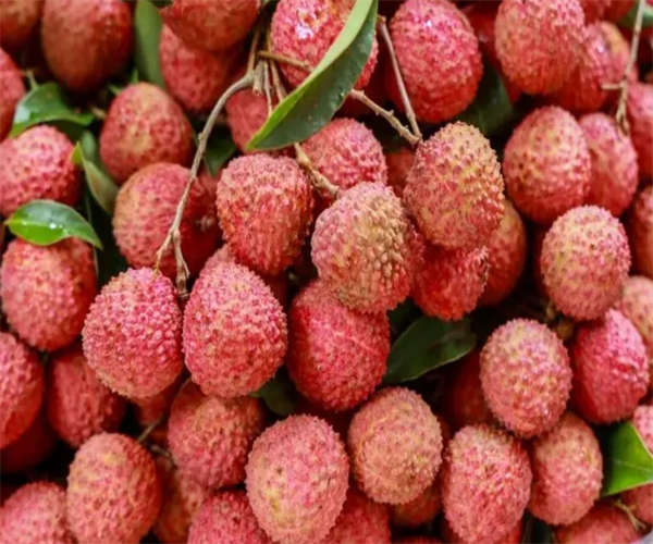 荔枝总酸含量检测 荔枝硬度检测去哪里做