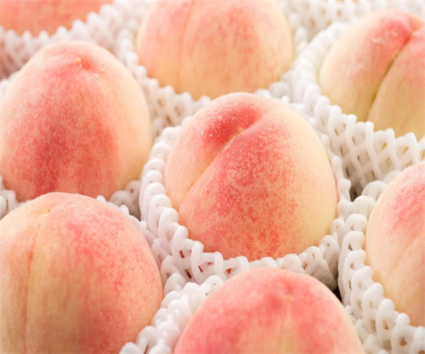 水蜜桃酸度检测 水蜜桃硬度检测去哪里做