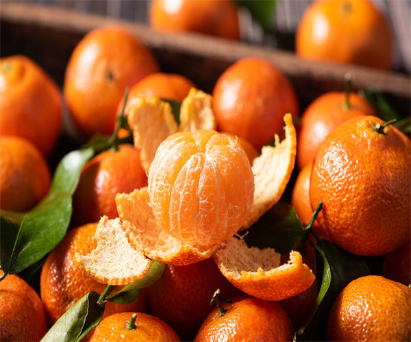 砂糖橘外观品质检验 砂糖橘水分含量检测中心