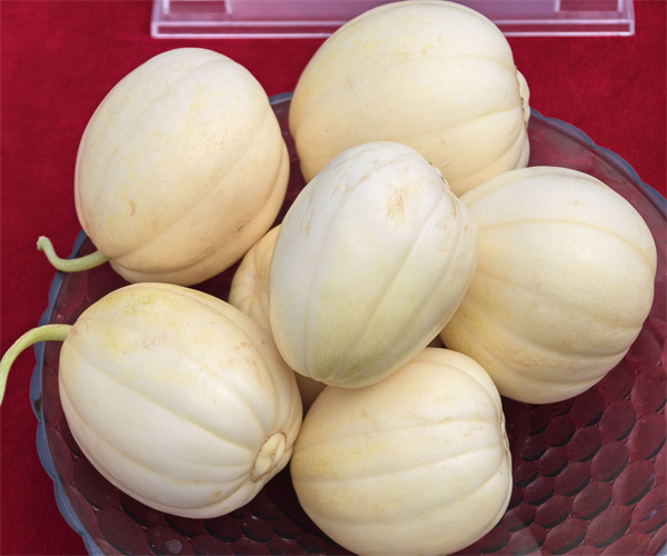 香瓜外观品质检测 香瓜营养成分分析中心