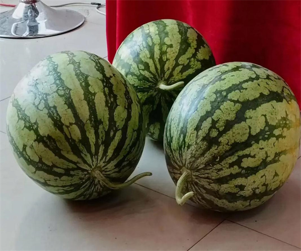 西瓜感官指标检测 西瓜农药残留检测中心