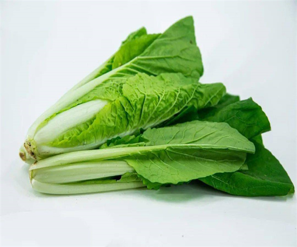 小白菜重金属检测 小白菜微生物检测多少钱