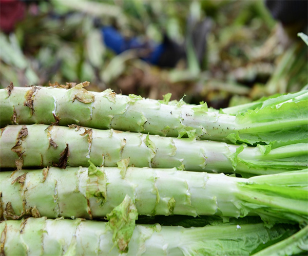 莴笋重金属含量检测 莴笋食品添加剂检测单位