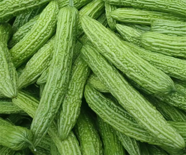 苦瓜重金属检测 苦瓜真菌毒素检测多少钱