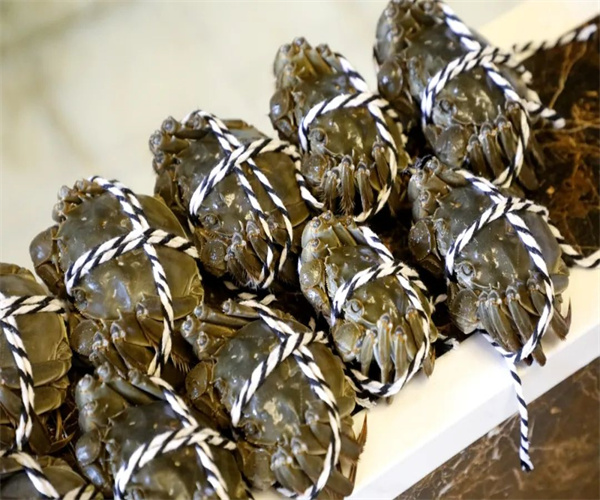 大闸蟹营养成分检测 大闸蟹蛋白质含量检测多少钱