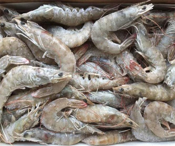 海虾氯霉素含量检测 海虾磺胺类检测多少钱