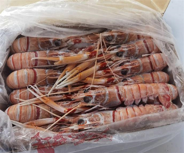 鳌虾孔雀石绿检测 鳌虾磺胺类药物检测多少钱