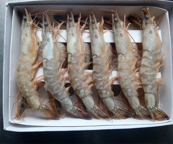 对虾孔雀石绿检测 对虾重金属污染多少钱