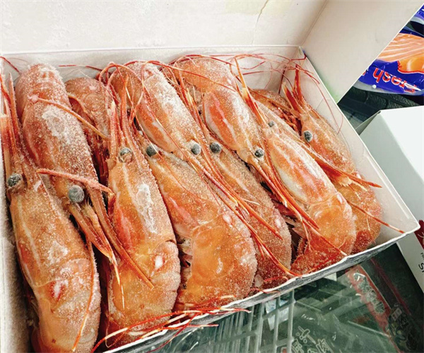 牡丹虾氯霉素含量检测 牡丹虾孔雀石绿检测中心