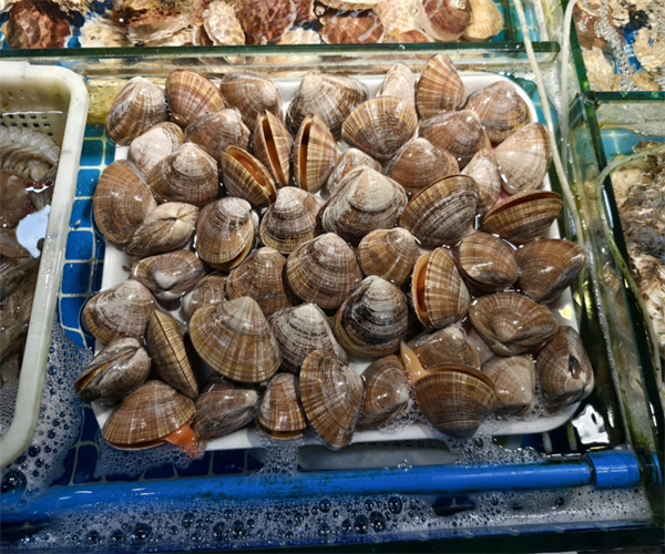 第三方文贝重金属检测 文贝兽药残留检测去哪里做