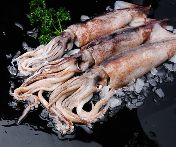 鱿鱼酸价检测 鱿鱼过氧化值检测多少钱