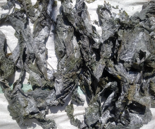 干海带盐分检测 干海带灰分含量检测去哪里做