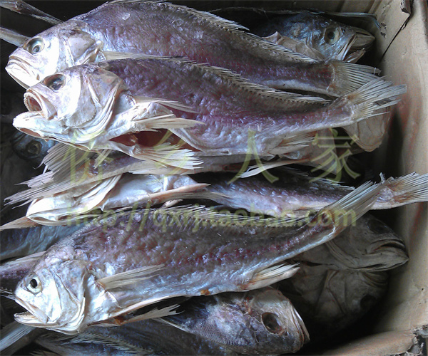 咸鱼干挥发性盐基氮检测 咸鱼干酸价检测机构