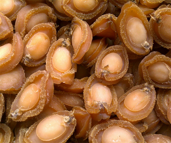 鲍鱼干灰分含量检测 鲍鱼干盐分检测去哪里做