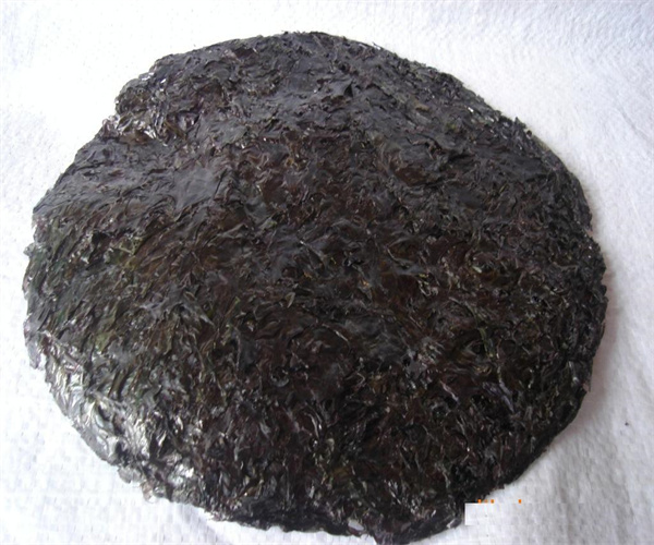 紫菜灰分含量检测 紫菜蛋白质检测多少钱