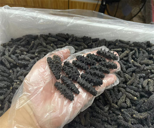 干海参水分含量检测 干海参盐分检测多少钱