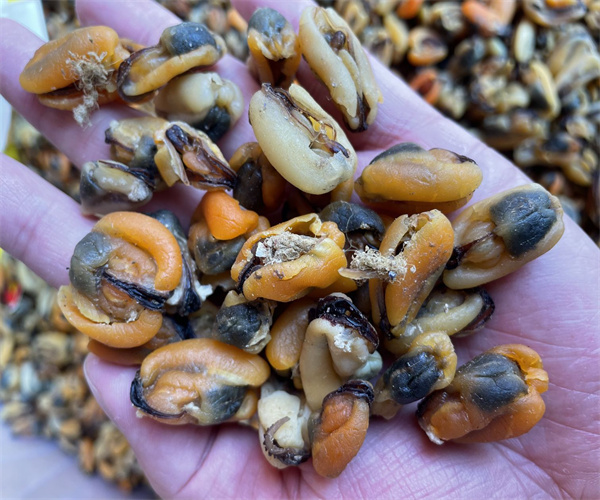 淡菜干细菌总数检测 淡菜干致病菌检测去哪里做