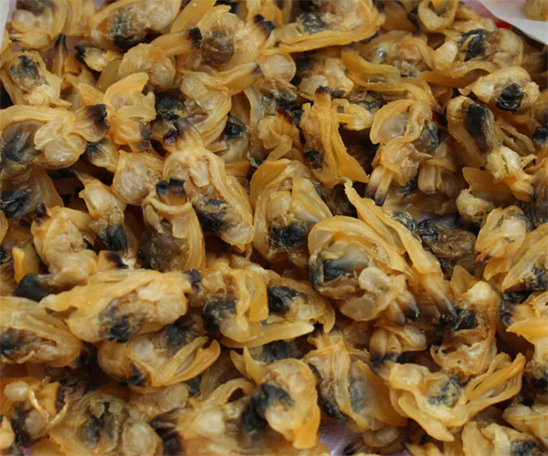 蛤蜊干盐分含量检测 蛤蜊干灰分含量检测中心