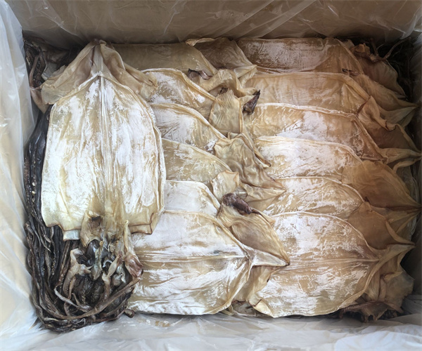 鱿鱼干蛋白质含量检测 鱿鱼干酸价检测机构