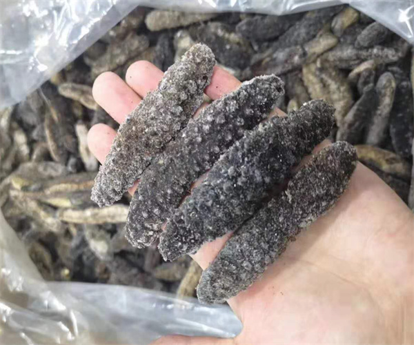 刺参盐分含量检测 刺参蛋白质含量检测多少钱