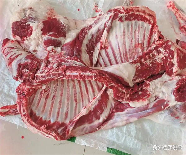 羊肉挥发性盐基氮检测 羊肉微生物检测单位