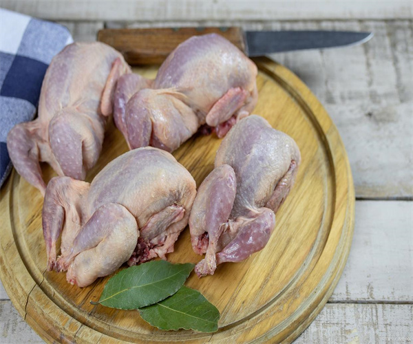 鸽子肉微生物先检测 鸽子肉菌落总数检测多少钱