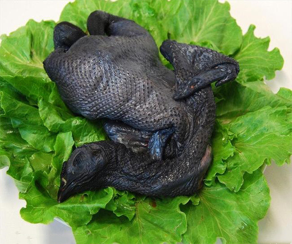 乌鸡脂肪含量检测 乌鸡氨基酸组成检测去哪里做