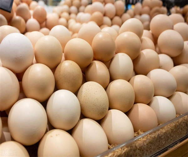 鸡蛋营养成分化验 鸡蛋蛋白质含量化验中心