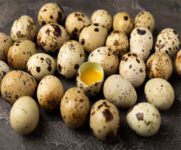 鹌鹑蛋营养成分分析 鹌鹑蛋脂肪含量检测多少钱