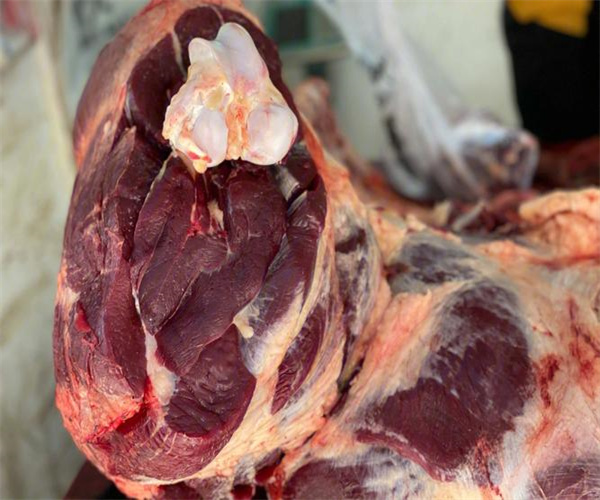 牦牛肉脂肪含量检测 牦牛肉灰分含量检测去哪里做