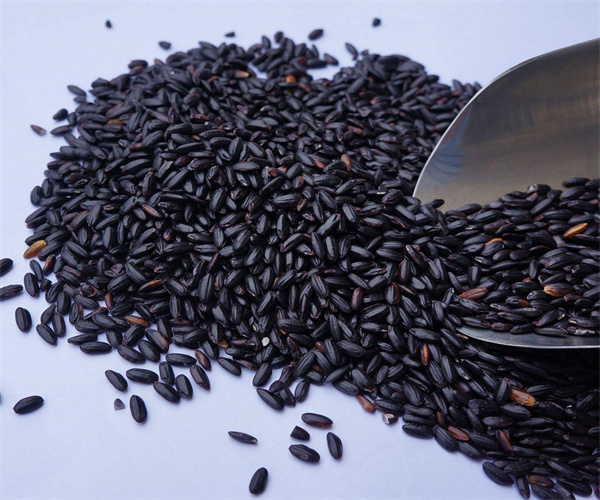 黑米杂质含量检测 黑米重金属化验多少钱