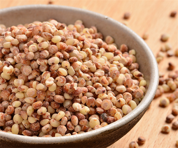 高粱米单宁含量检测 高粱米重金属污染检测单位