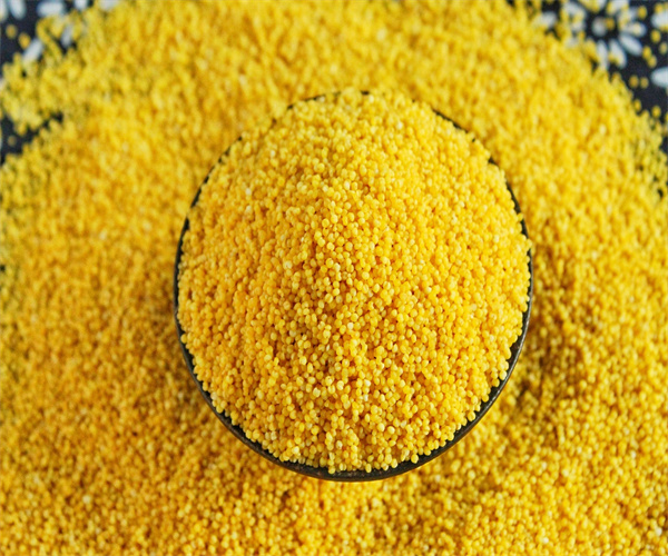 小米不完善粒检测 小米碎米率测试多少钱