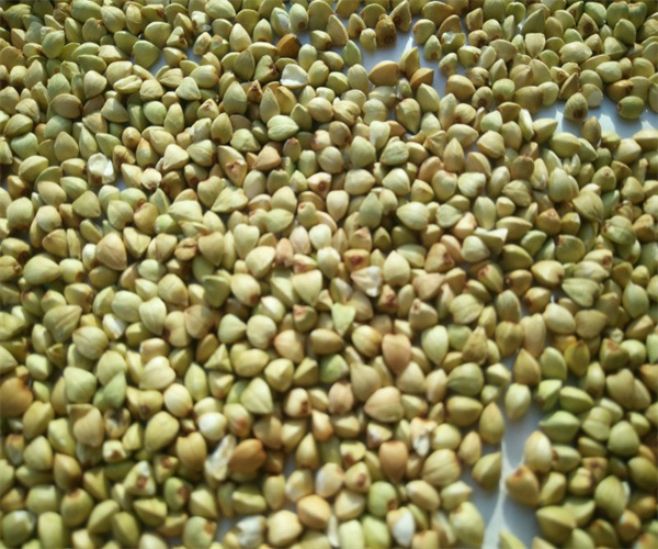 荞麦米污染物检测 荞麦米重金属检测去哪里做