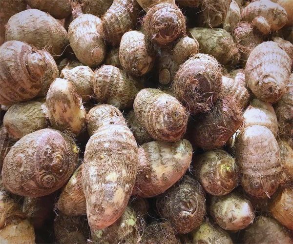 芋头淀粉含量检测 芋头膳食纤维检测哪里可以做